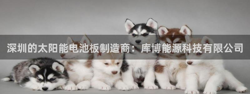 sunbet游戏最新版