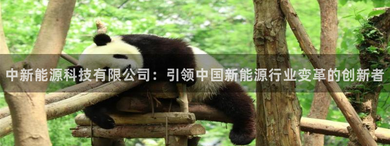 sunbet官网代理下载