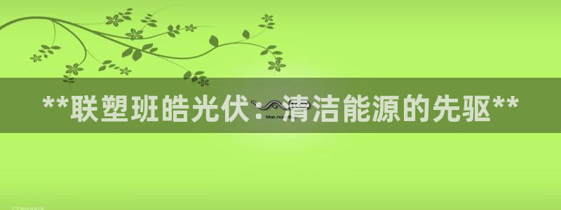 sunbet官网手机版