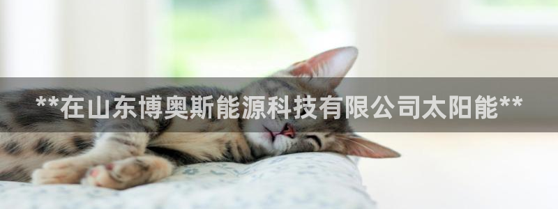 sunbet游戏最新版