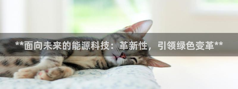 sunbet首页登录入口