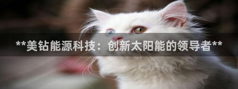 申博手机版app下载