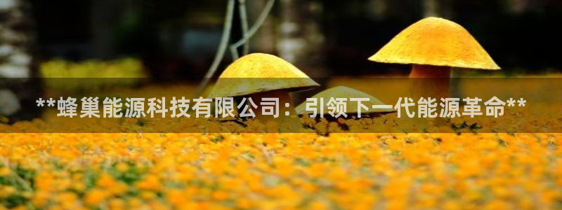sunbet官网手机版登录