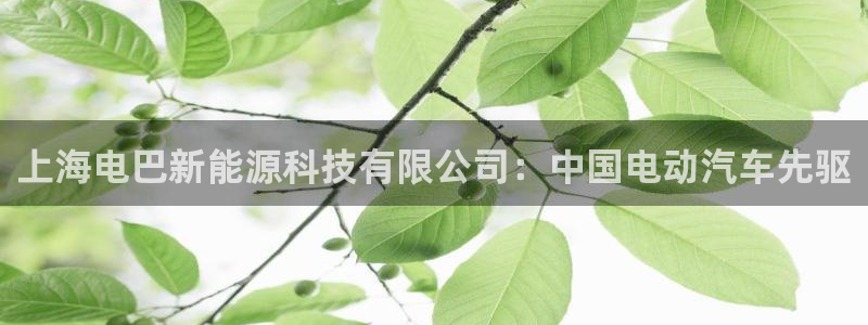 sunbet申搏官方网站