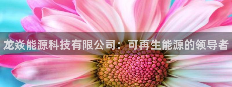 sunbet安卓下载