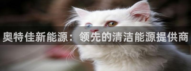 sunbet燃气灶