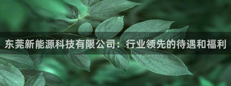 sunbet官网app首页