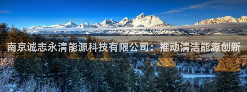 sunbet英语翻译