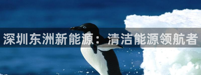 sunbet官网开户登录手机版