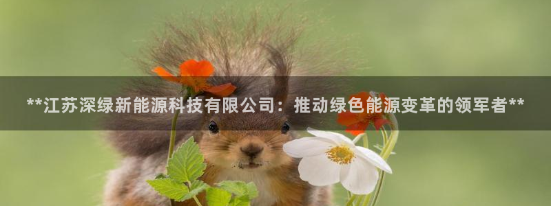 sunbet官网代理下载