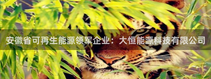 sunbet手机端