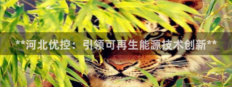 申博手机网址