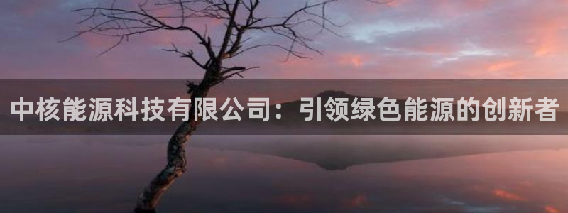 sunbet首页登录入口