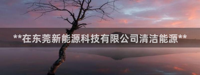 申博官方网站手机版下载