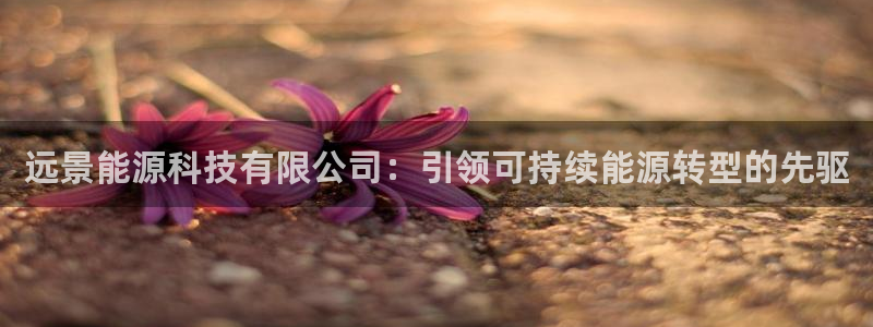 sunbet中文