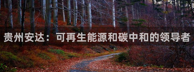 sunbet中国官网