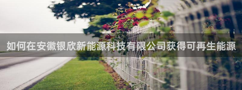 sunbet程序