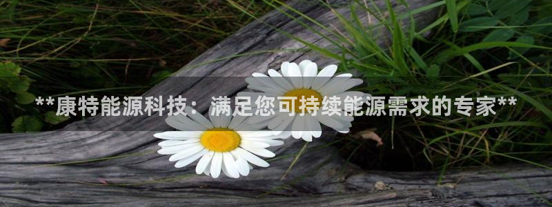 sunbet官网手机版登录