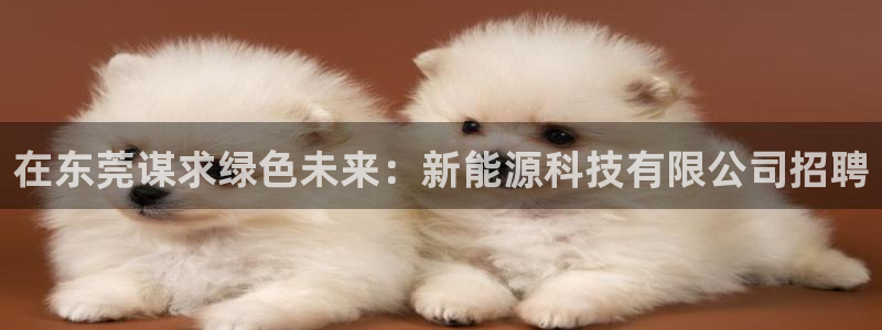 申博手机版app下载