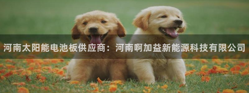 sunbet官网代理下载