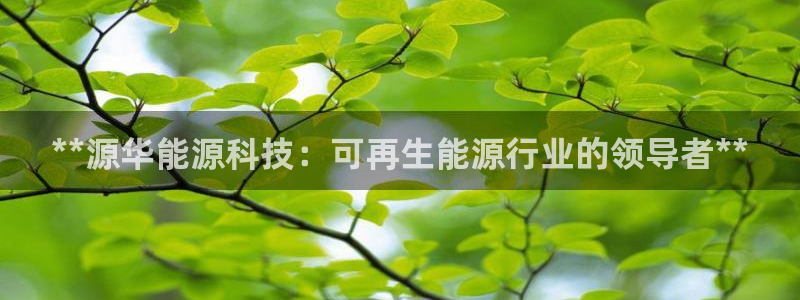 sunbet官网开户登录手机版