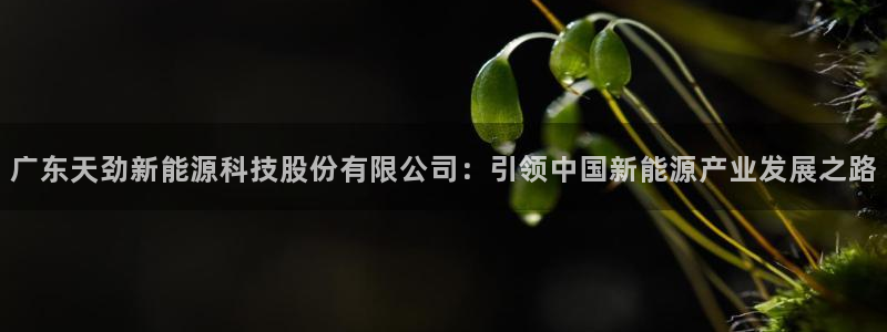 sunbet英语翻译