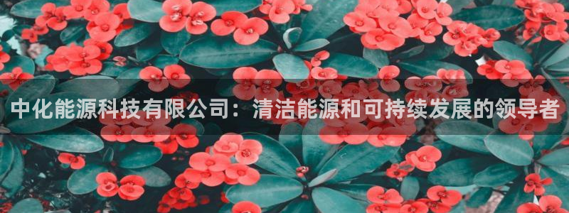 进入sunbet官网手机版登陆
