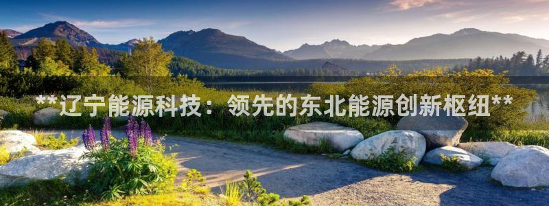 申博官方网站