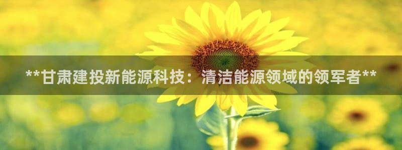 sunbet源码