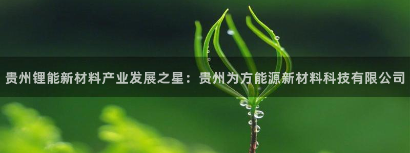 sunbet游戏最新版