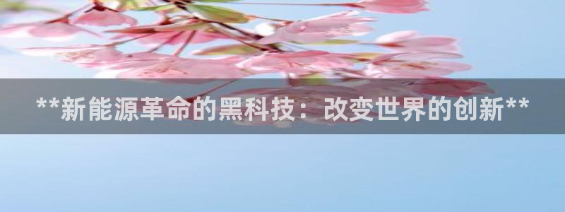 sunbet官网代理下载