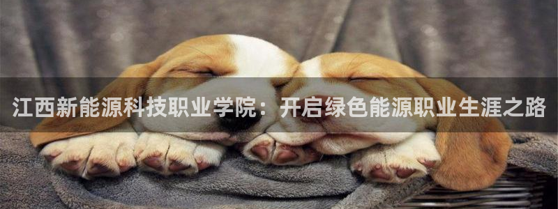 sunbet手机网页版