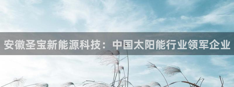 sunbet首页登录入口