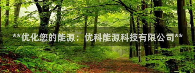 申博官网手机版下载app