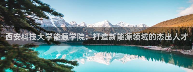 sunbet手机网页版本