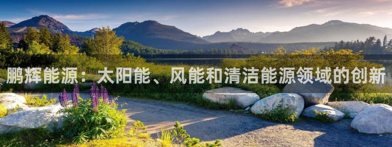 sunbet手机端