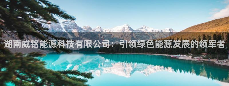 sunbet最新消息
