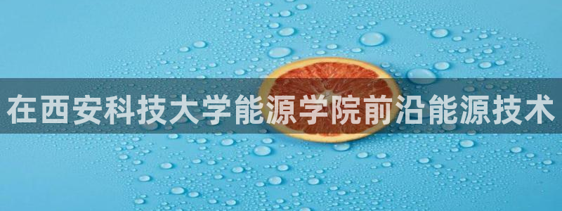 sunbet游戏地址