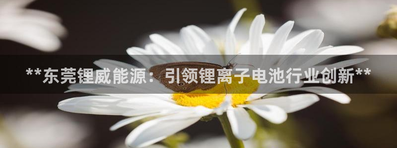 sunbet苹果app
