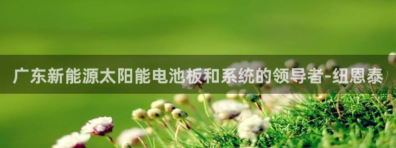 sunbet官网登录首页
