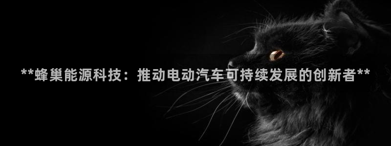 sunbet燃气灶