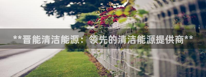 申博官方网站手机版下载