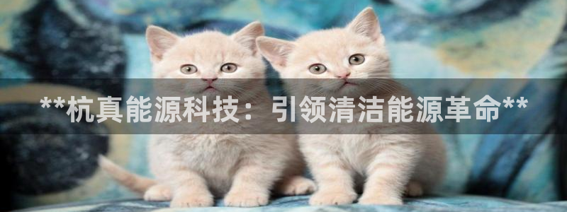 sunbet官网welcome