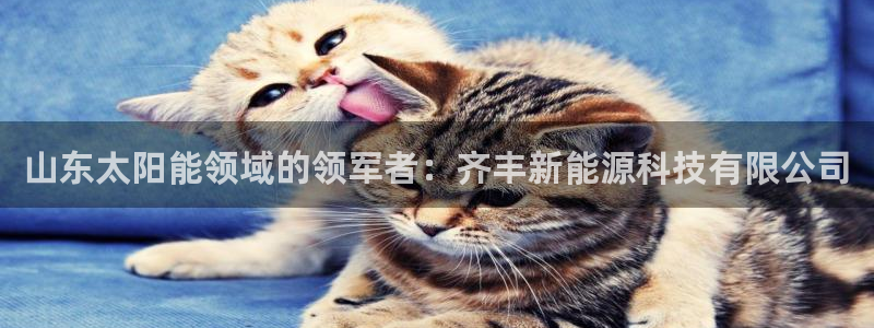 sunbet最新消息