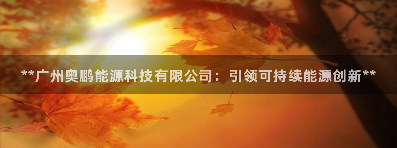 sunbet燃气灶