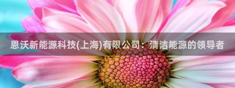 申博视讯