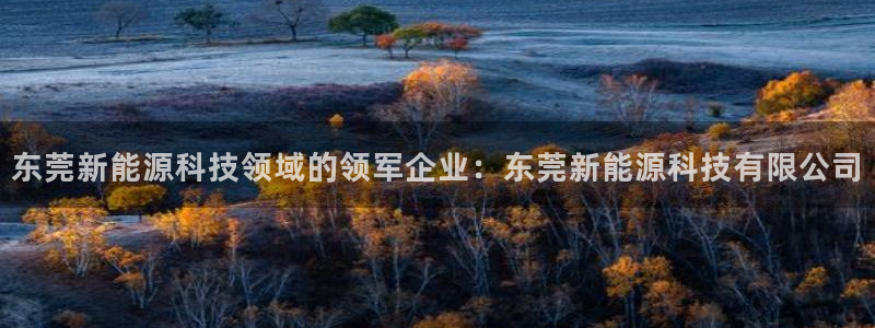 sunbet手机网页版