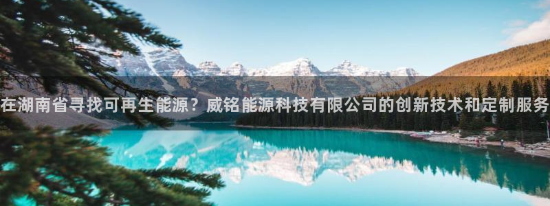 sunbet官网app首页