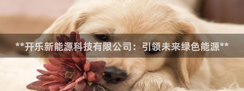 sunbet申搏app下载