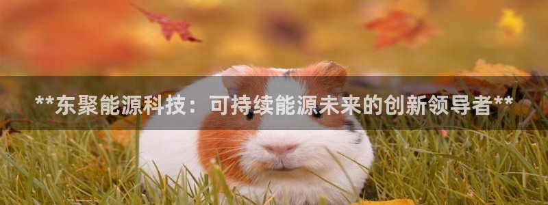 sunbet程序